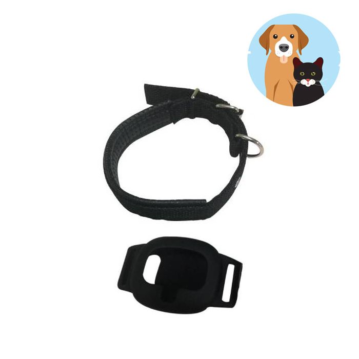 Loop for dog/cat collar